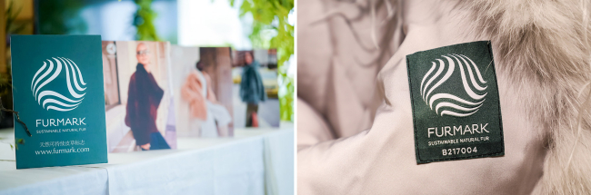 ëƤЭIFFJZˣ˫ƷԲչ